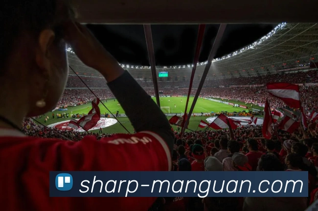 满冠体育品牌故事