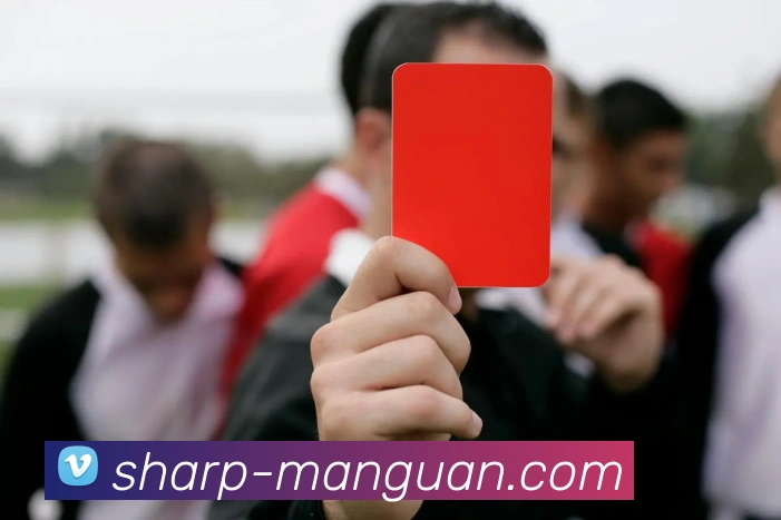 满冠体育服务体系